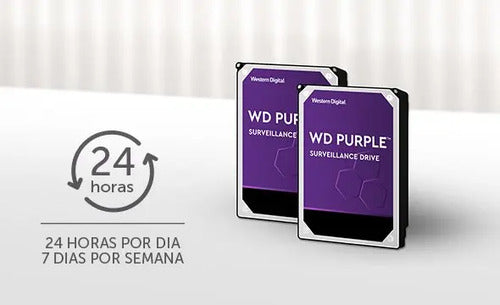 DISCO RIGIDO WESTERN DIGITAL - 1 TB